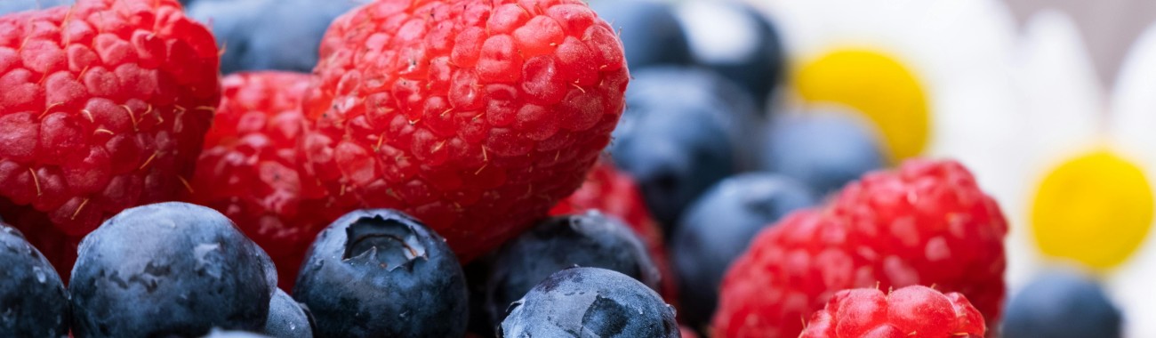 منتجات الفواكة