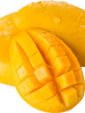 مانجو مجفف بالتفريز